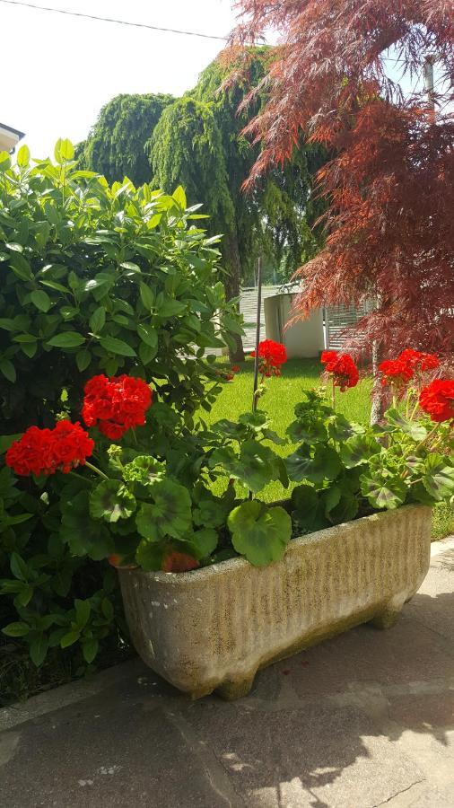 B&B "Al Colle 11" Фано Экстерьер фото